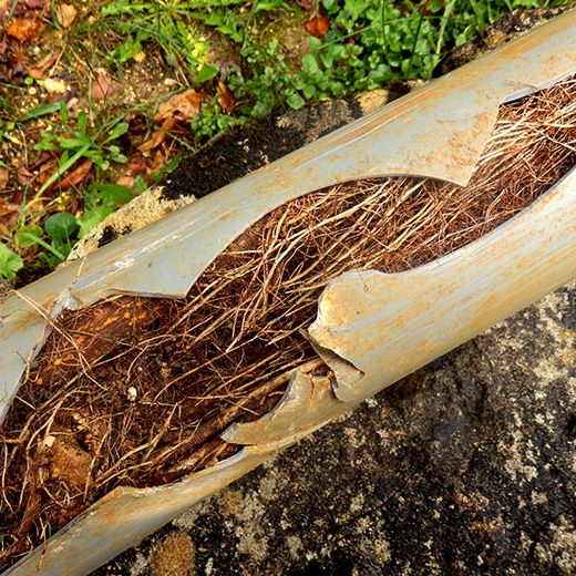 Same Day Drain Sewer & Rooter Pros Across Henniker